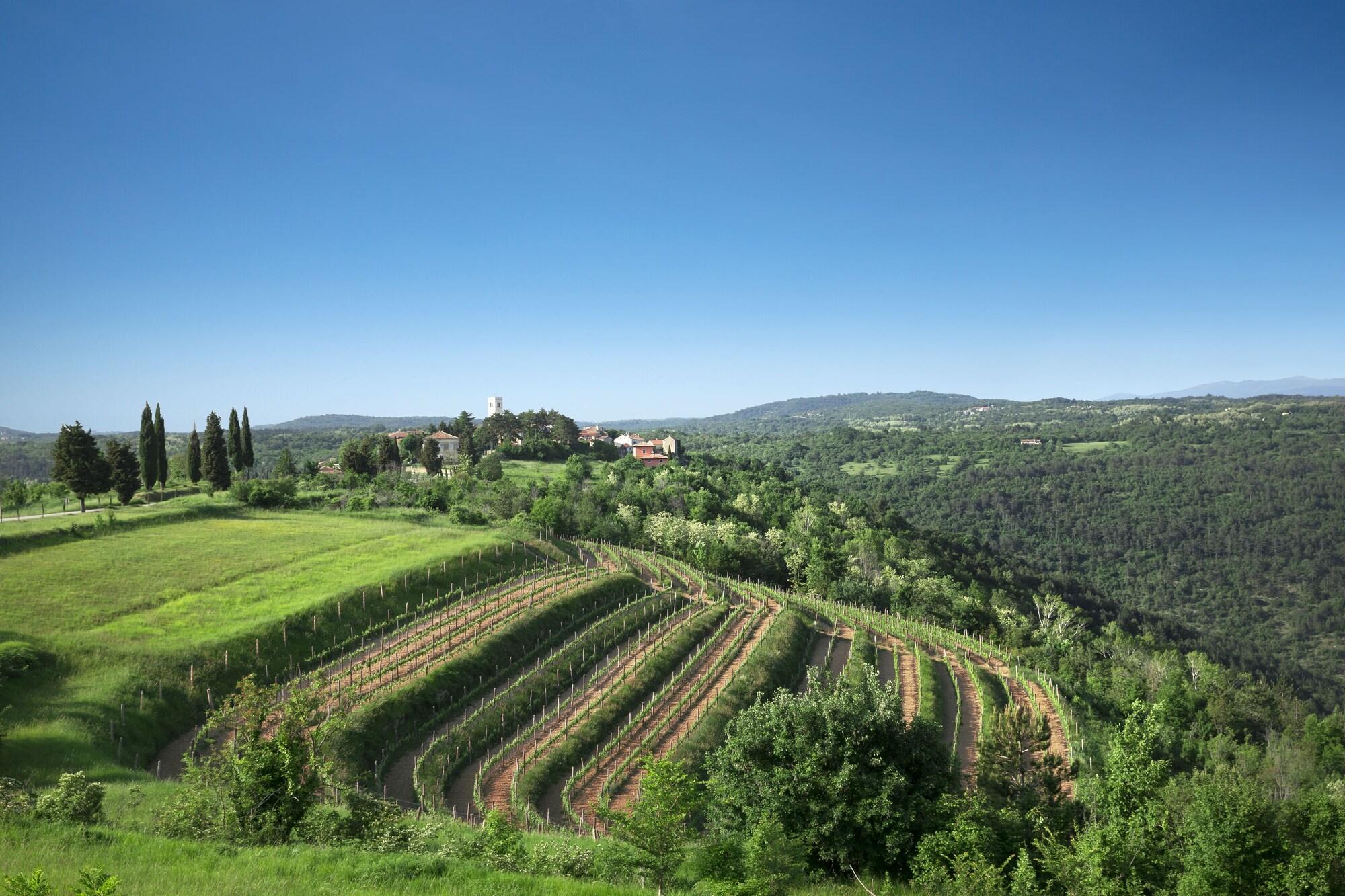 Palazzo Angelica B&B Adults Only Oprtalj Luaran gambar
